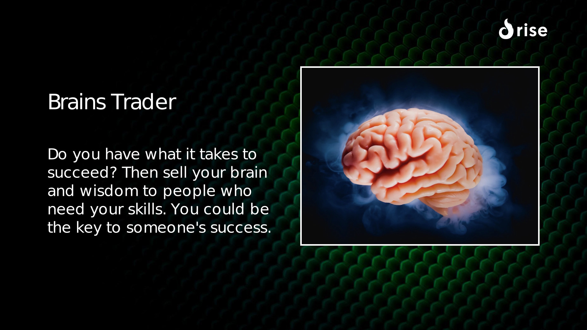 Brains Trader